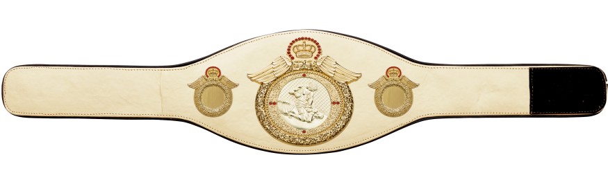 MMA CHAMPIONSHIP BELT-PROWING/G/MMAG - AVAILABLE IN 6+ COLOURS
